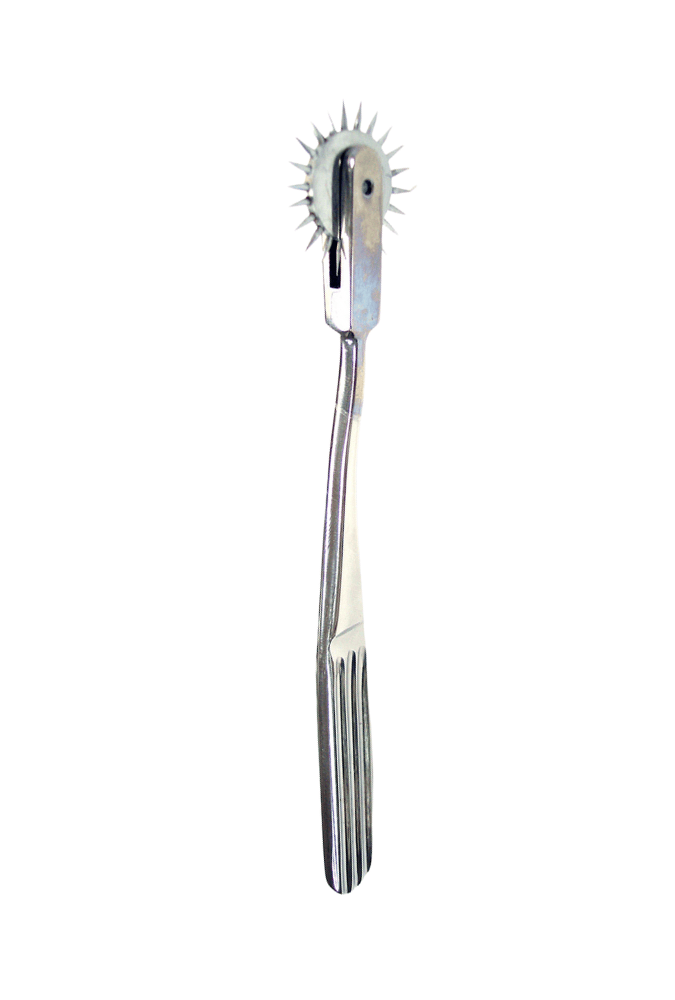 Roulette de Wartenberg Pinwheel Simple - Acier