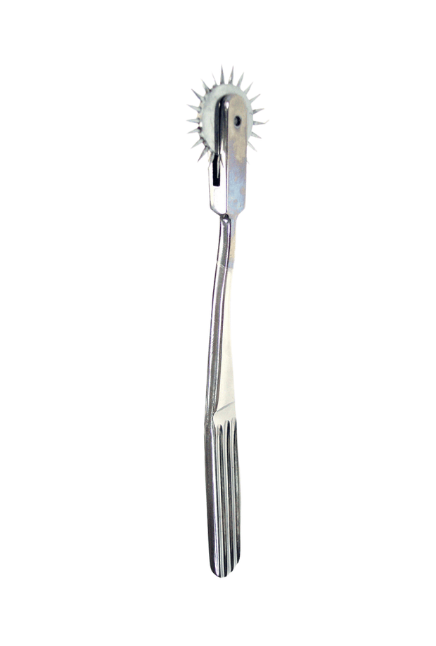 Wartenberg-Rolle mit Windrad – Stahl