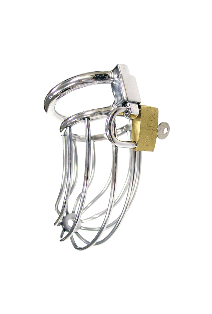 Openwork Chastity Cage with Padlock - Steel