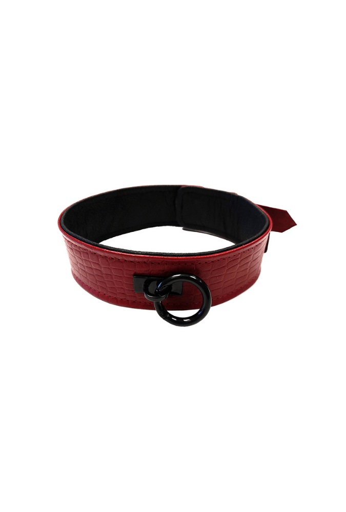 Collier de Soumission Cuir - Anaconda