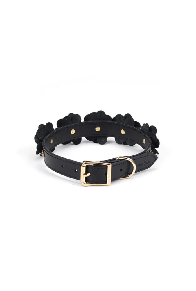 Leather Submission Collar with Leash - Flower Rhythm