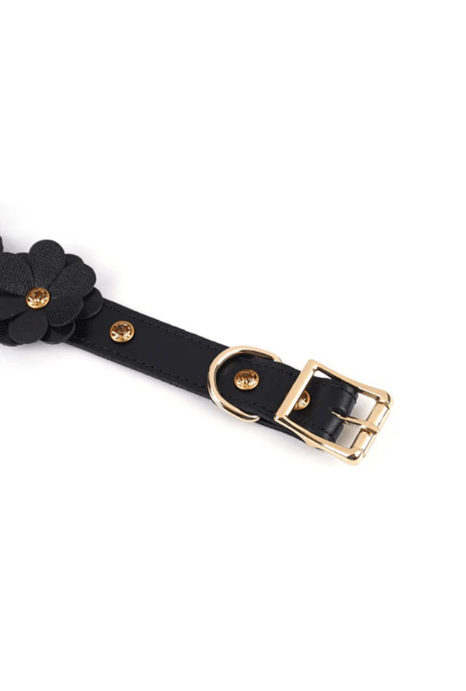 Leather Submission Collar with Leash - Flower Rhythm